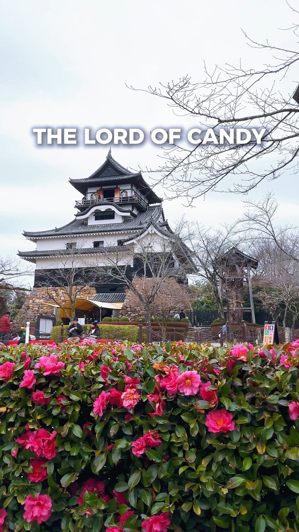Oyatsu Mart, Inuyama Castle