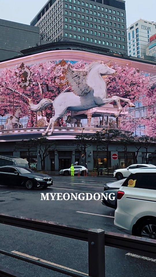 SEOULLOVE, Myeongdong Street