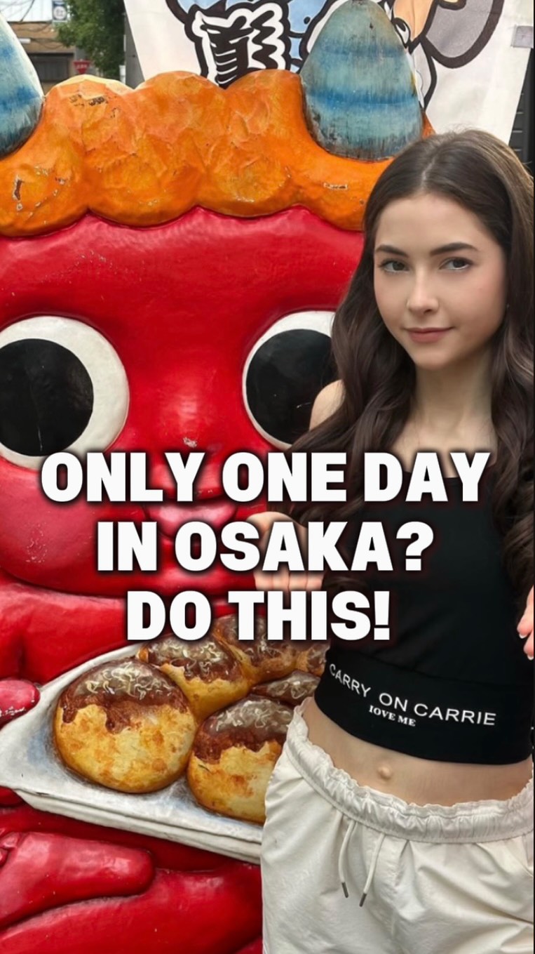 Beckster Travels, Osaka Castle