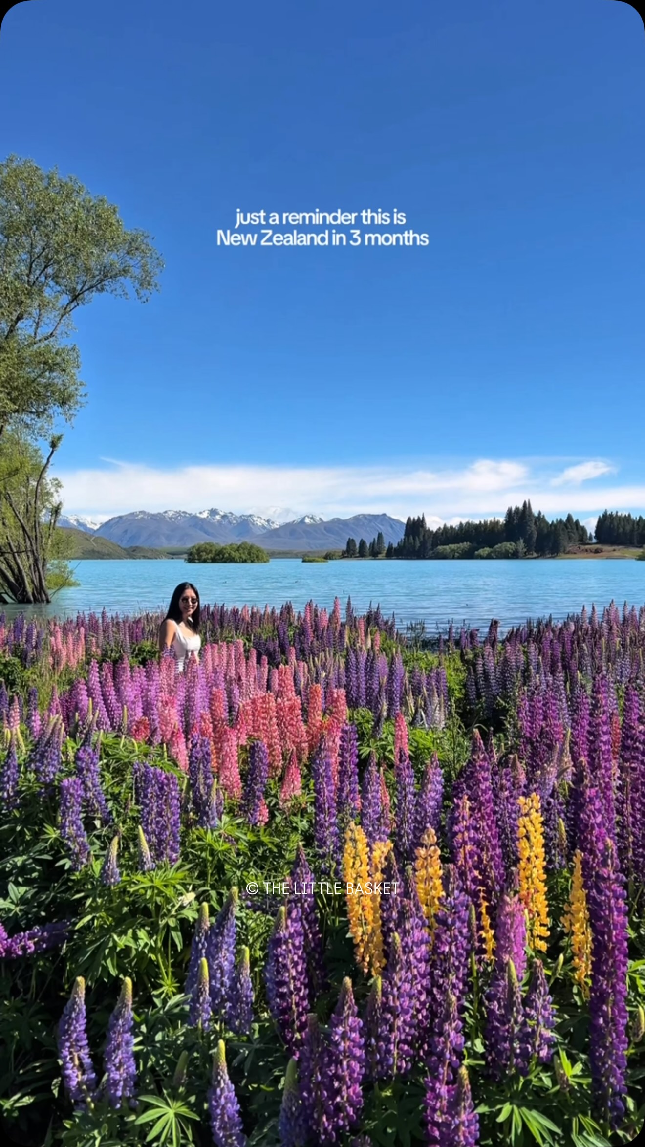 Erin Fang | Travel Tips & Hacks, Lake Tekapo