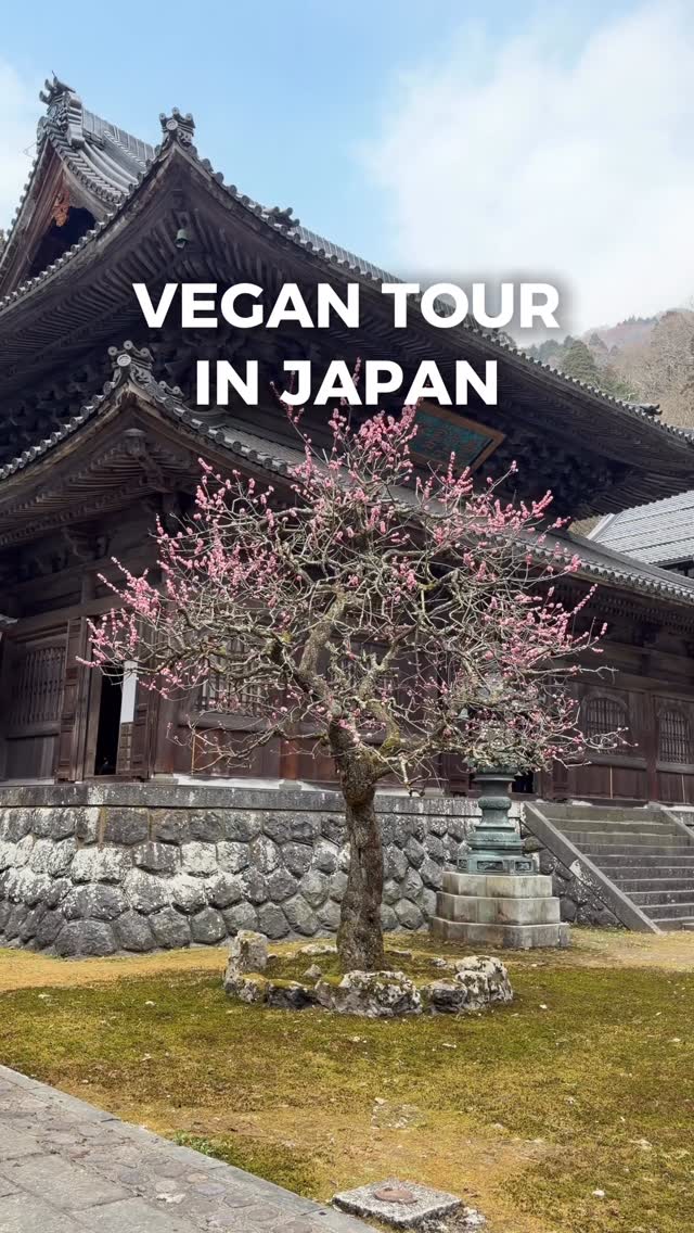 Japan Travel, Mount Fuji