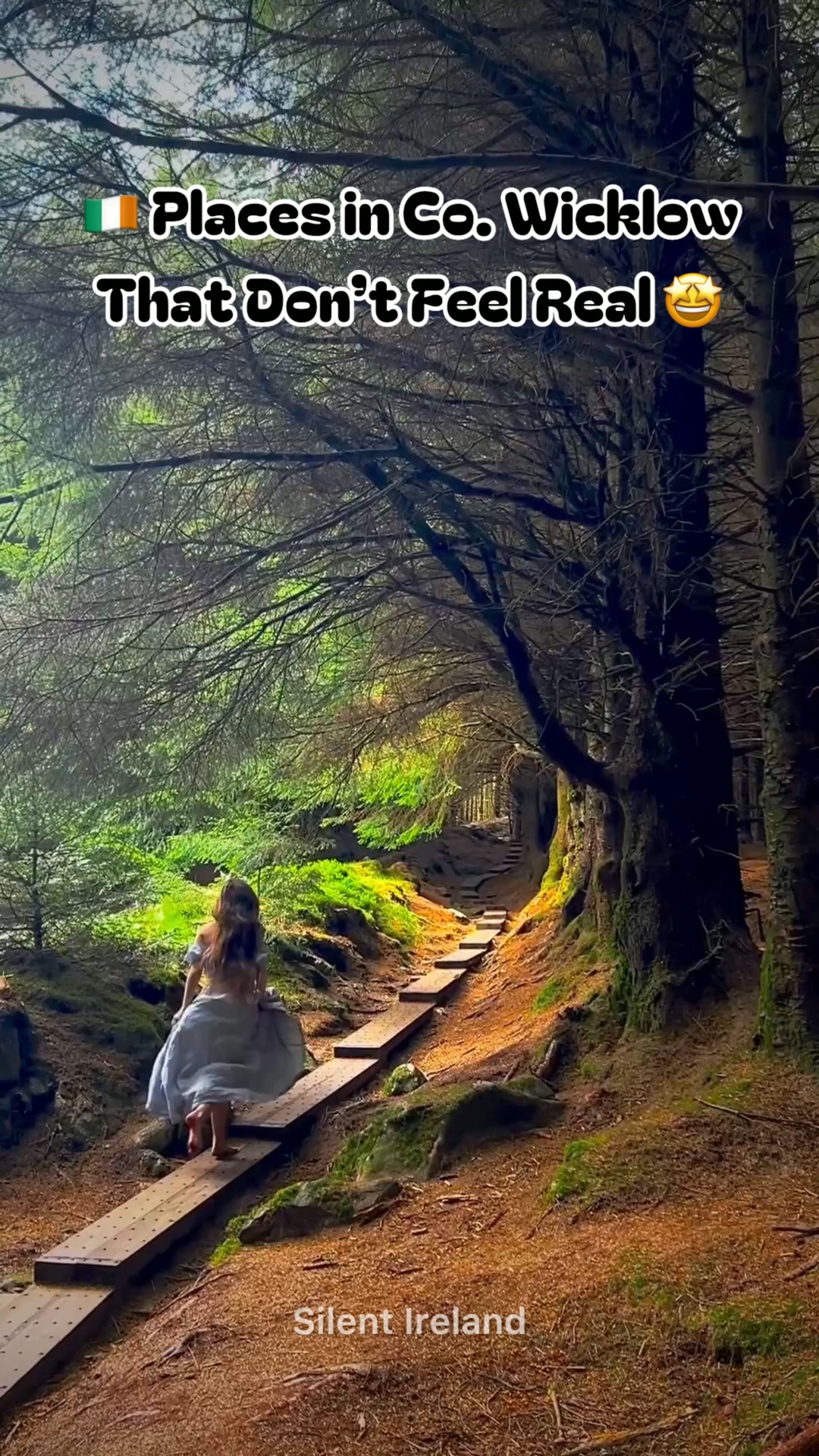 Silent Ireland, Powerscourt Waterfall