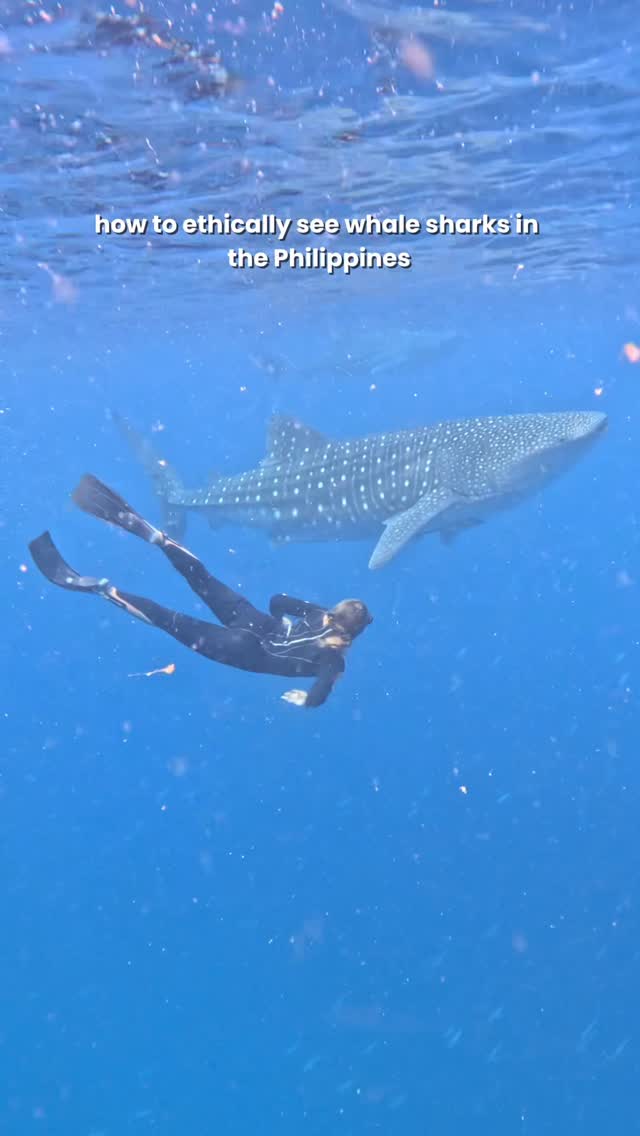 Bree Woolard, Sogod Bay