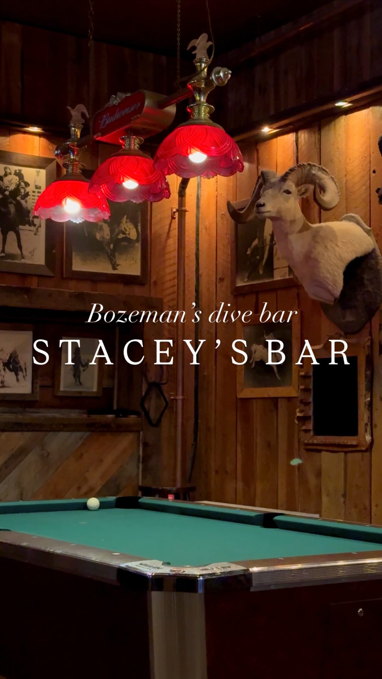 Nicole Pang 🌵 USA Travel + Solo Hiking + Vanlife, Stacey's Old Faithful Bar & Steakhouse