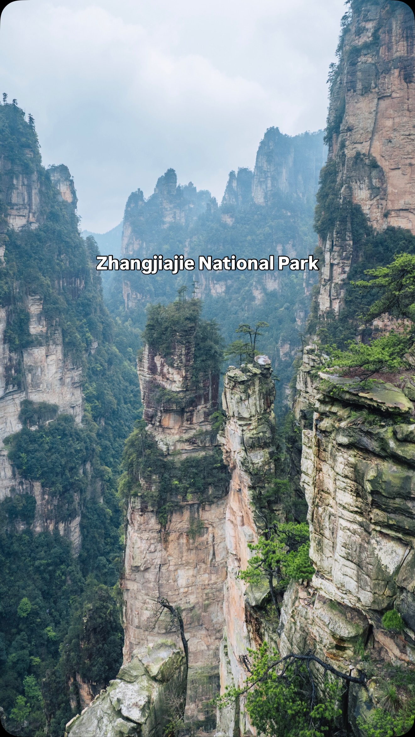 Mark Burstein, Zhangjiajie National Forest Park