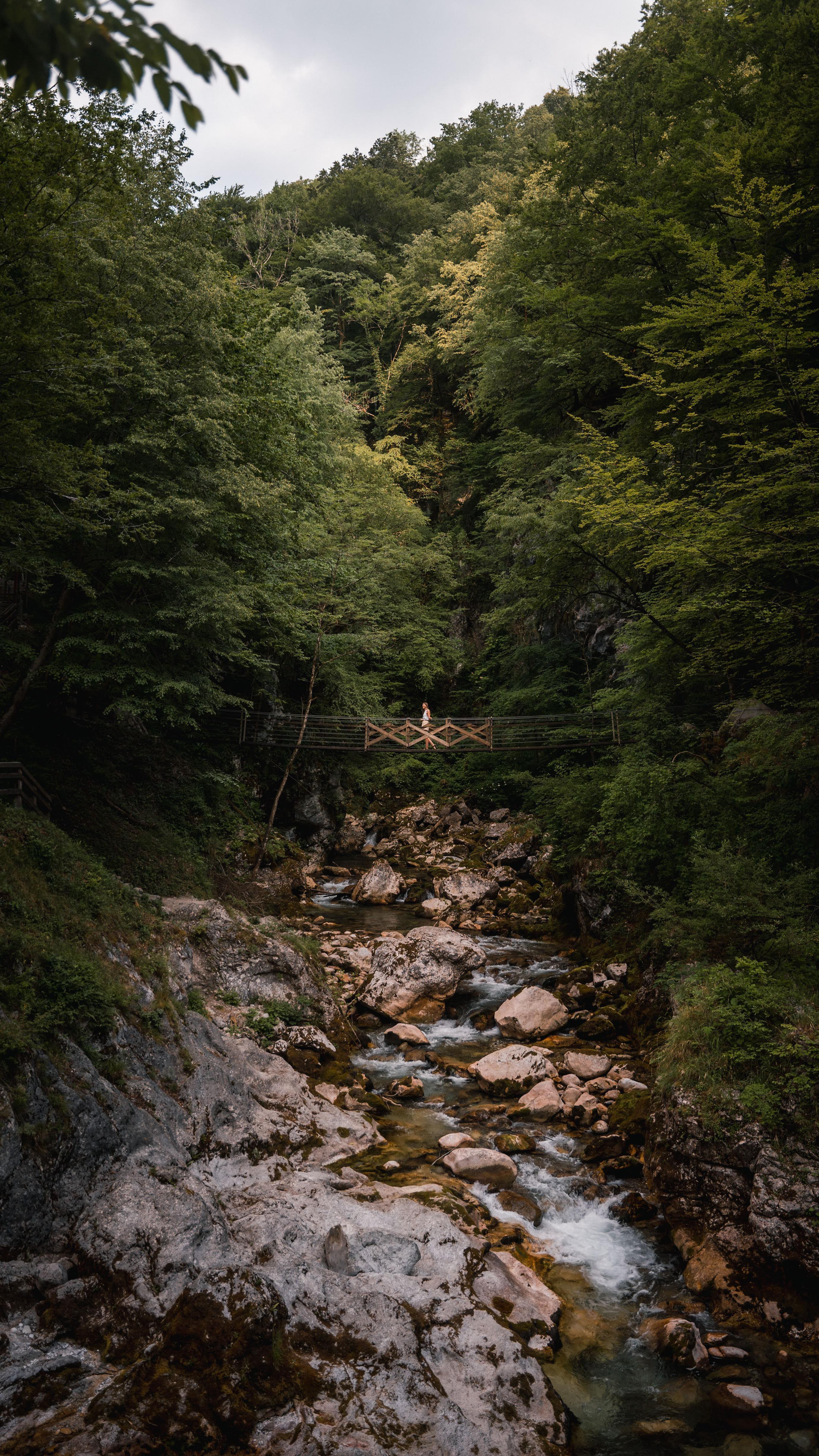 Helen Young ⛰️🌙 Island Life + Outdoor Adventure Travel, Lake Bled
