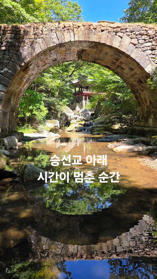 여행하는 땡그리  / 여행 I 카페 I 핫플 I 꽃투어, Seonamsa Temple