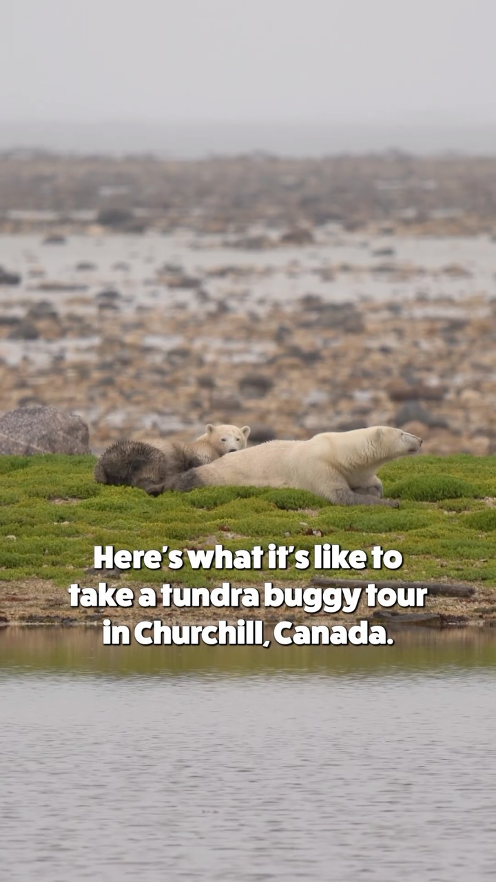 Justin & Jess | Adventure Travel Couple, Churchill