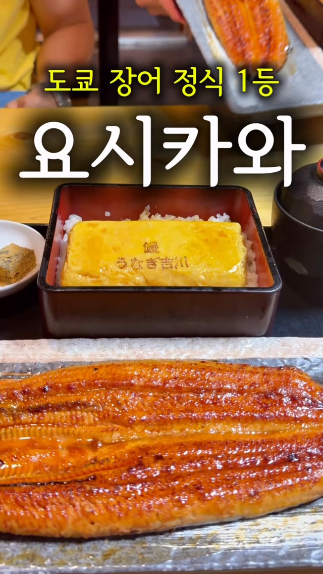 김 기항, MEGA Don Quijote