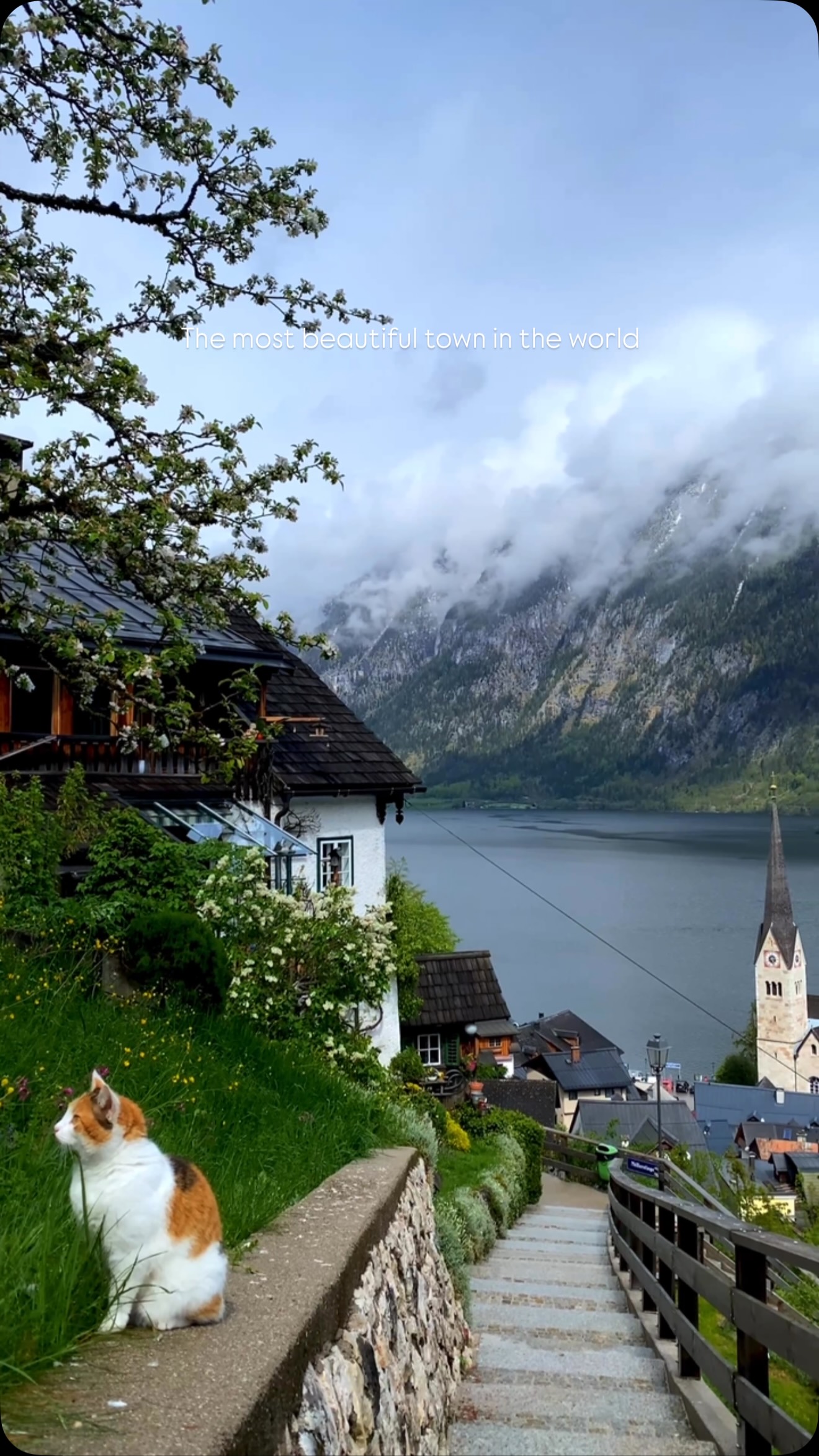 Dr Haider Ali | UK traveller, Panoramic Viewpoint - Hallstatt Skywalk