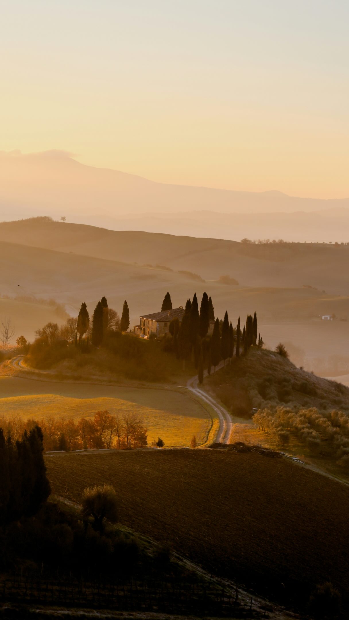 Sarah  ✈︎ Travel Advisor, Basilica di San Francesco