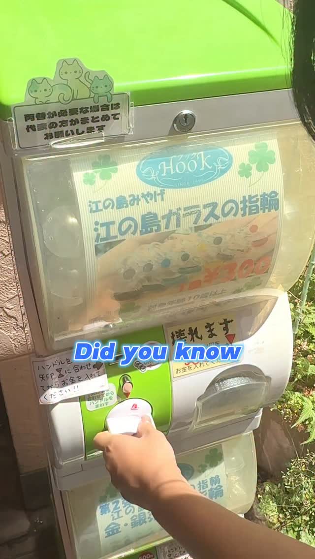 TABIBIYORI｜Travel Support🇯🇵, Enoshima