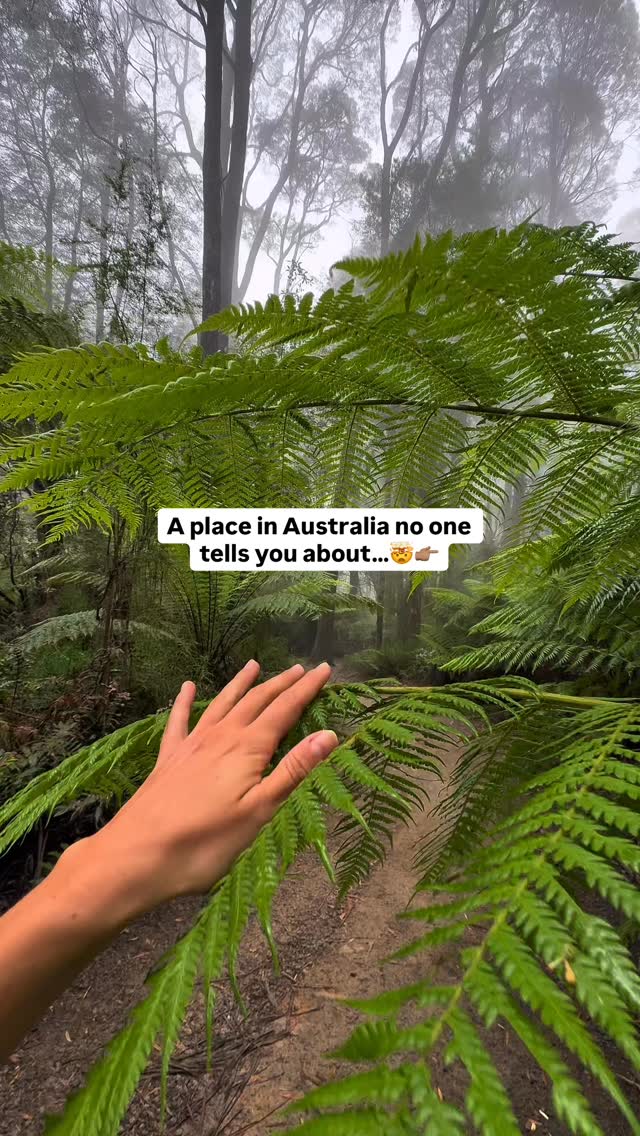 Andrea | Adventure Travel 𖦹, Great Otway National Park