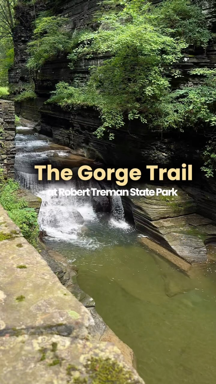 rachael | dog-friendly travel, stays & itineraries, Watkins Glen State Park