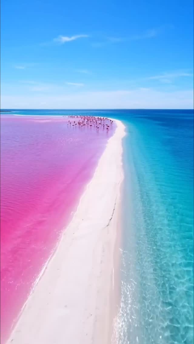 Hola México Magic, Las Coloradas