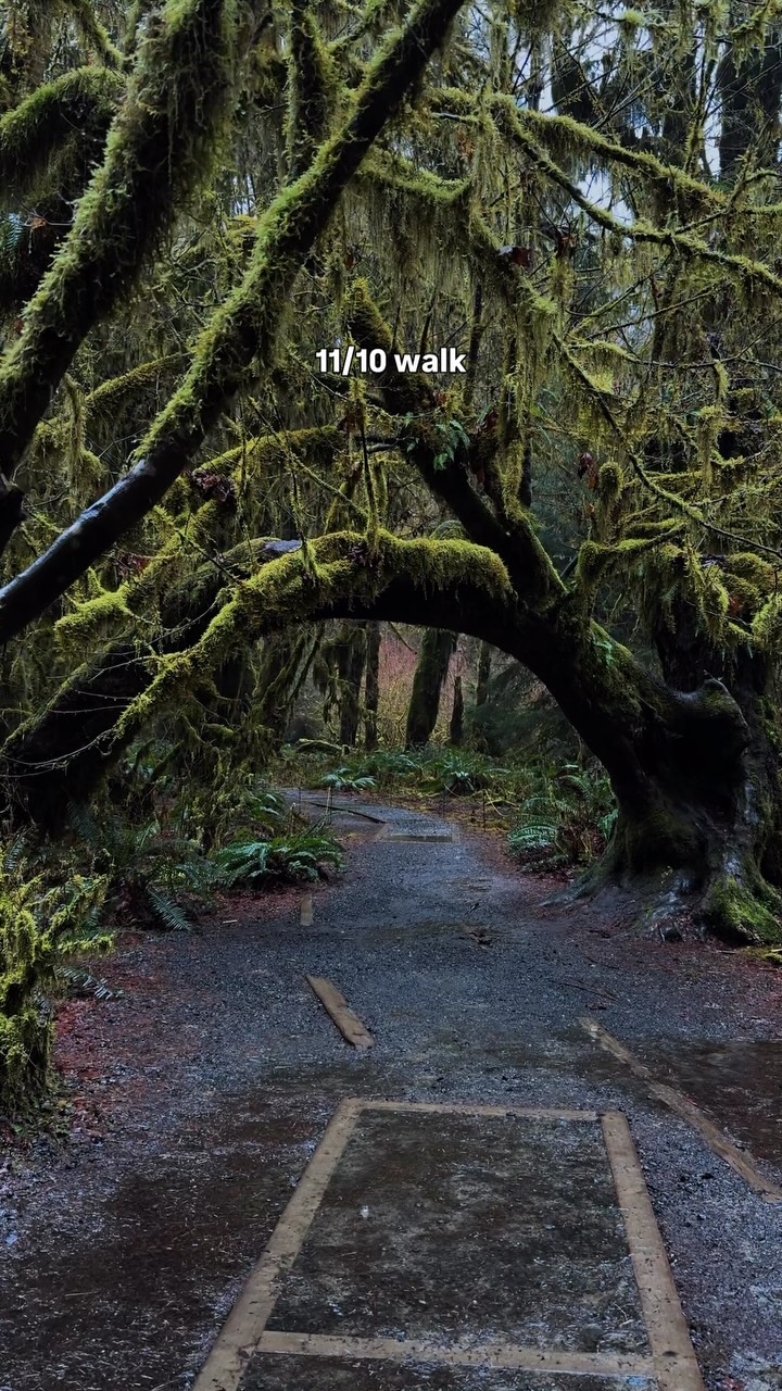 Nicole Sisson | Adventure Travel, Olympic National Park