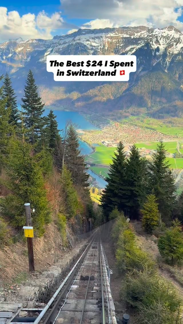 Iris Fiametta, Harder Kulm