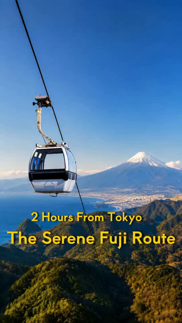 Izu Experiences Japan | 2h from Tokyo, Tokyo Station