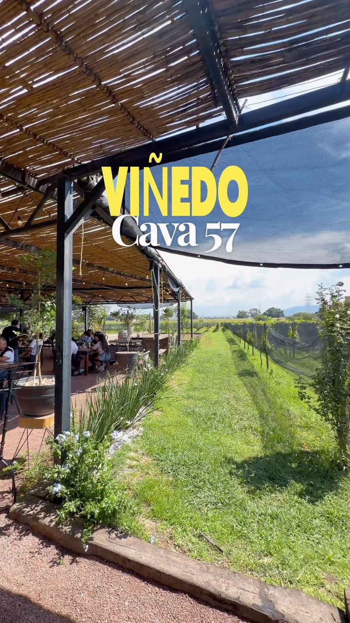 El Bien del Puerco, Terruño 57