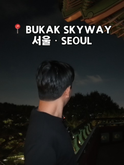 David Lee, N Seoul Tower