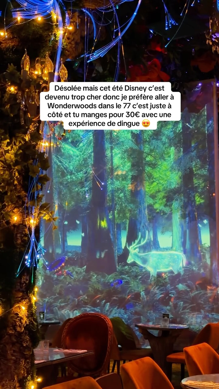 Luisa Bamin, Disneyland Paris