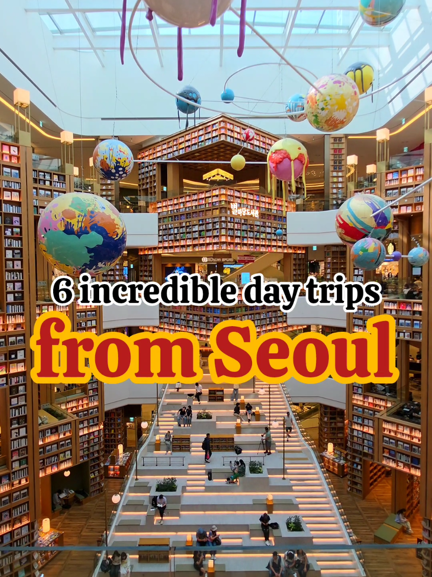 Helena Bradbury, Suwon-si
