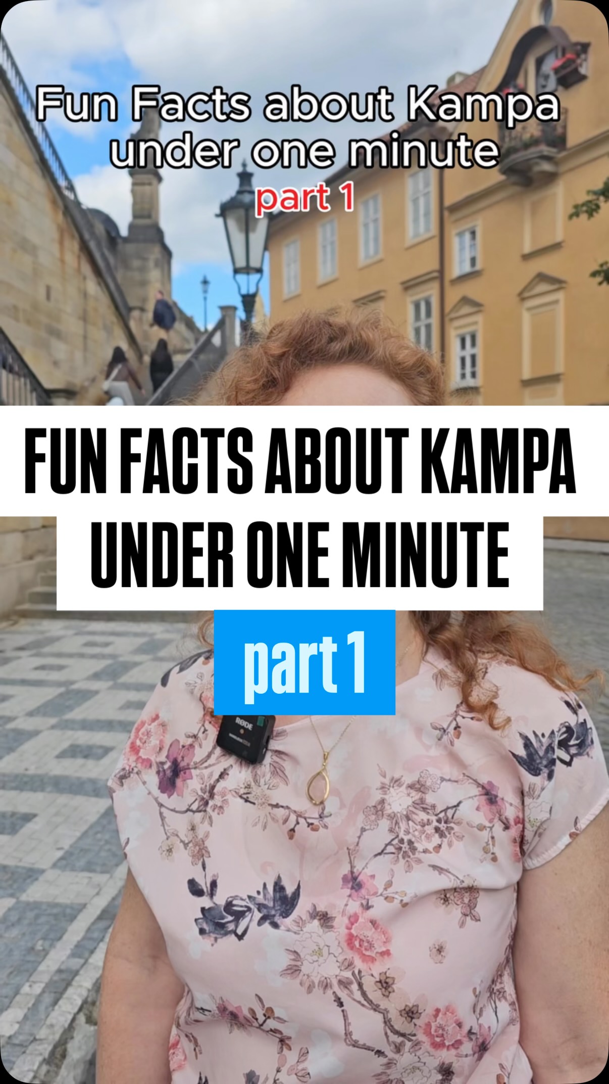 Personal Prague Guide & Prague Private Tours, Charles Bridge