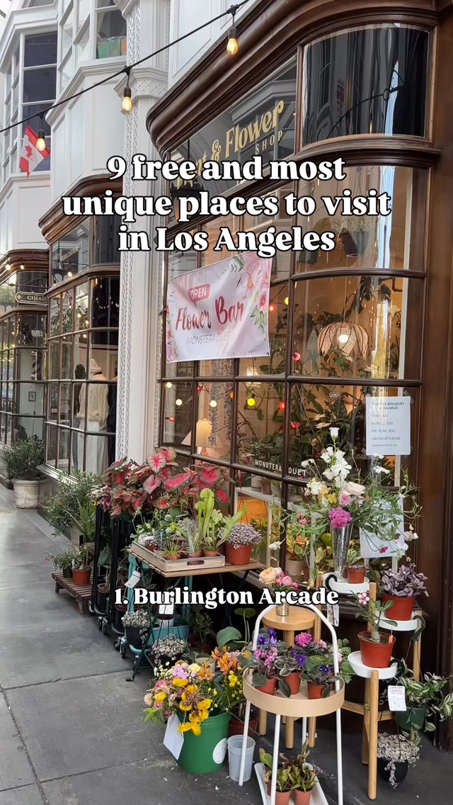 Eli Solano • California • Travel & Hidden Gems, Venice Canals