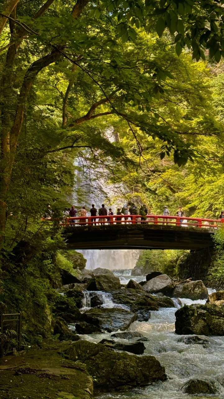 Omid.Aryamehr, Minoh National Park