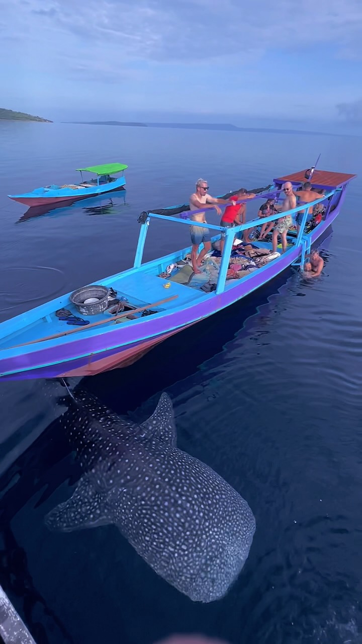 Sumbawa Adventour, Teluk Saleh