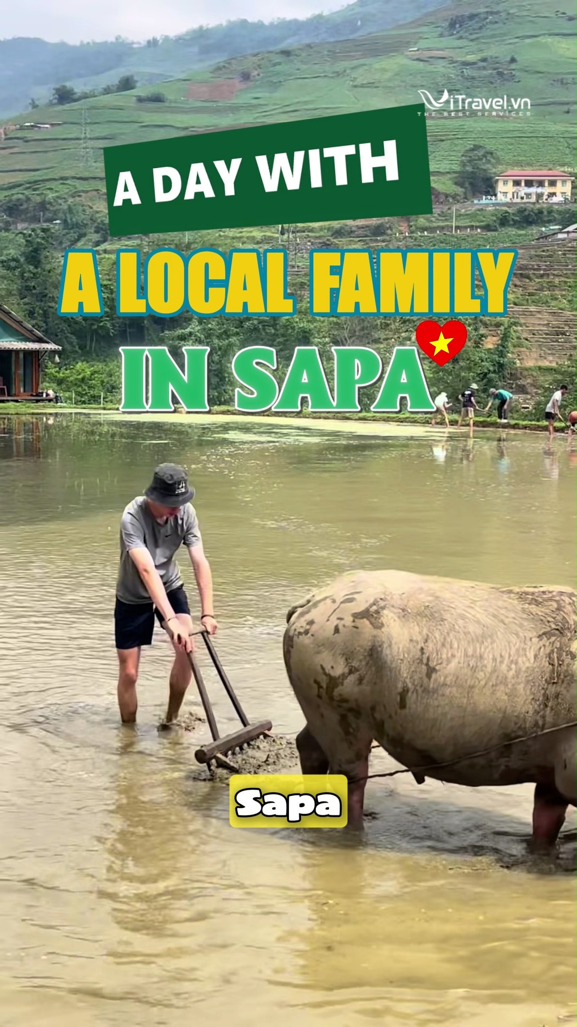 ViTravel - The Best Services, Sa Pa Night Market
