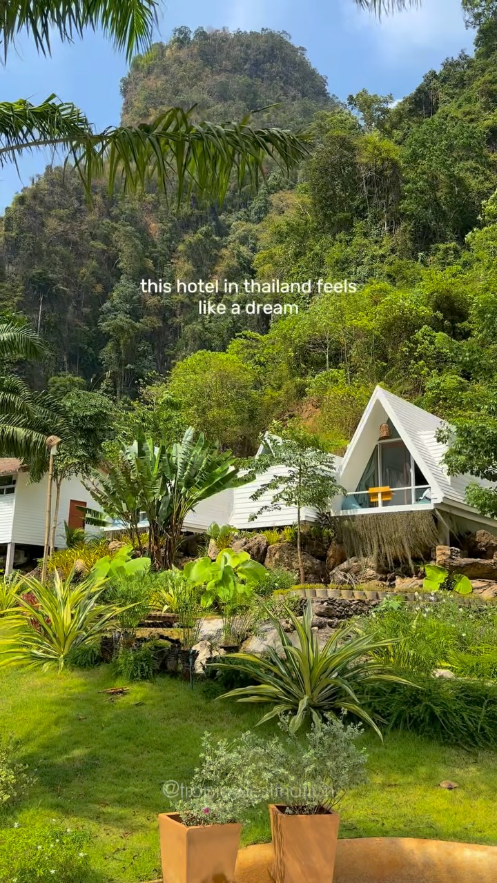 TROPICAL DESTINATIONS 📍THAILAND | VACATION | TRAVEL, Ko Phi Phi Don