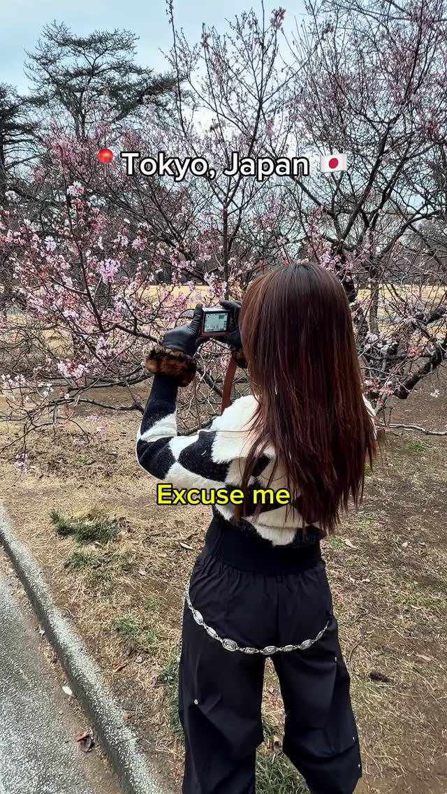maya monica, Shinjuku Gyoen National Garden