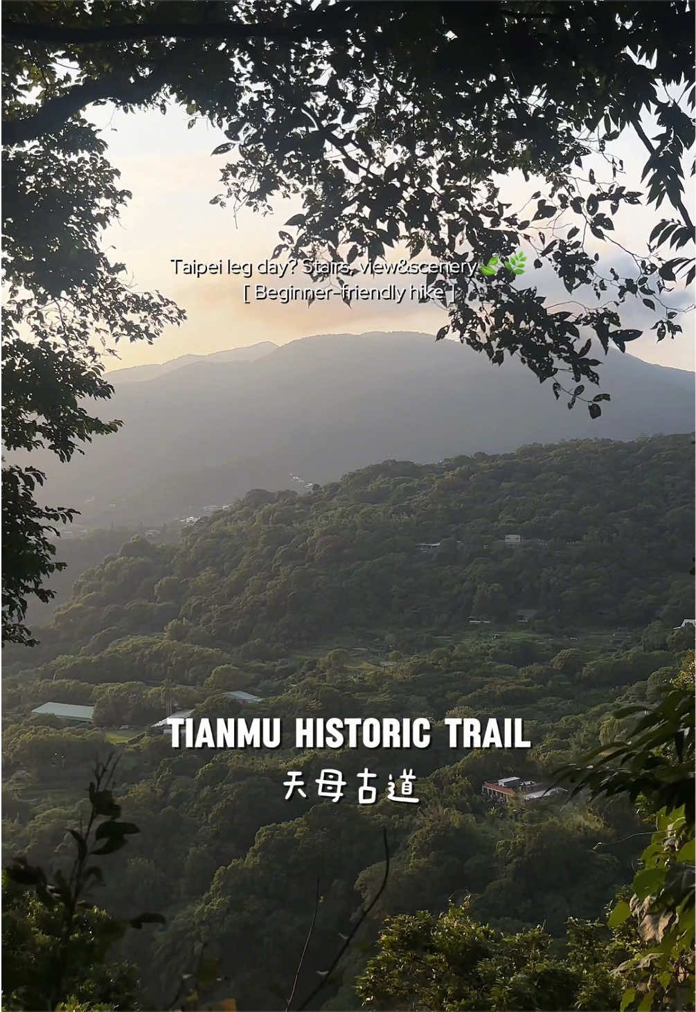 sipnseek.byfel, 台北101