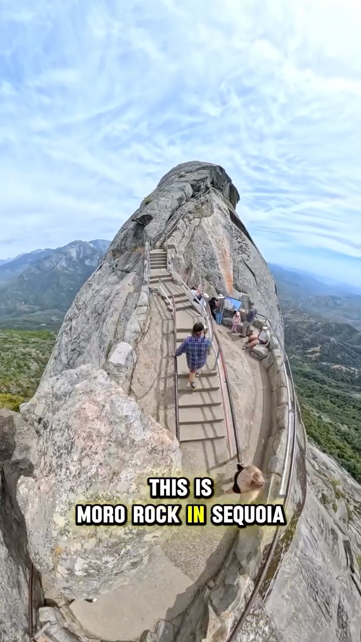 Calvin, Sequoia & Kings Canyon National Parks