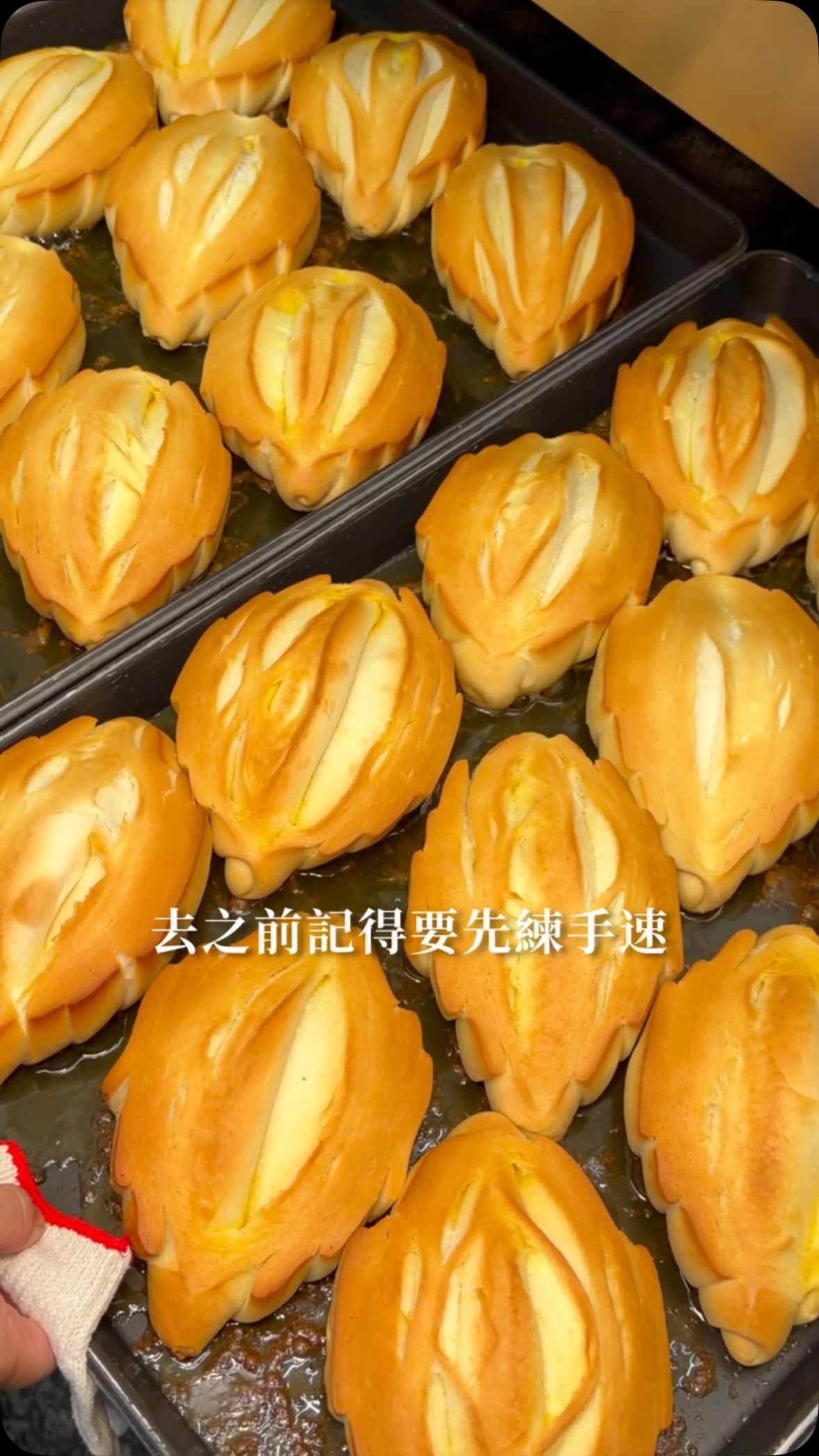 1000CC ·͜· 台北 桃園 新竹 台中美食分享ฅ゛, 加熊賀羅宋專賣 (文賢一店)