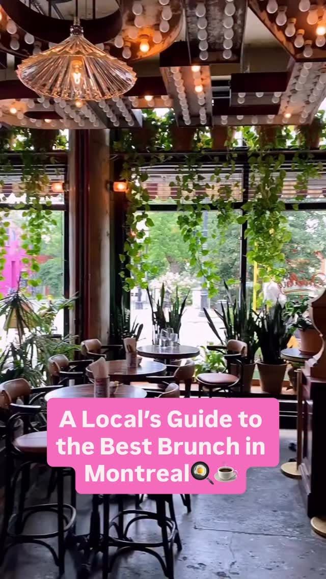girlplansmontreal, Olive et Gourmando