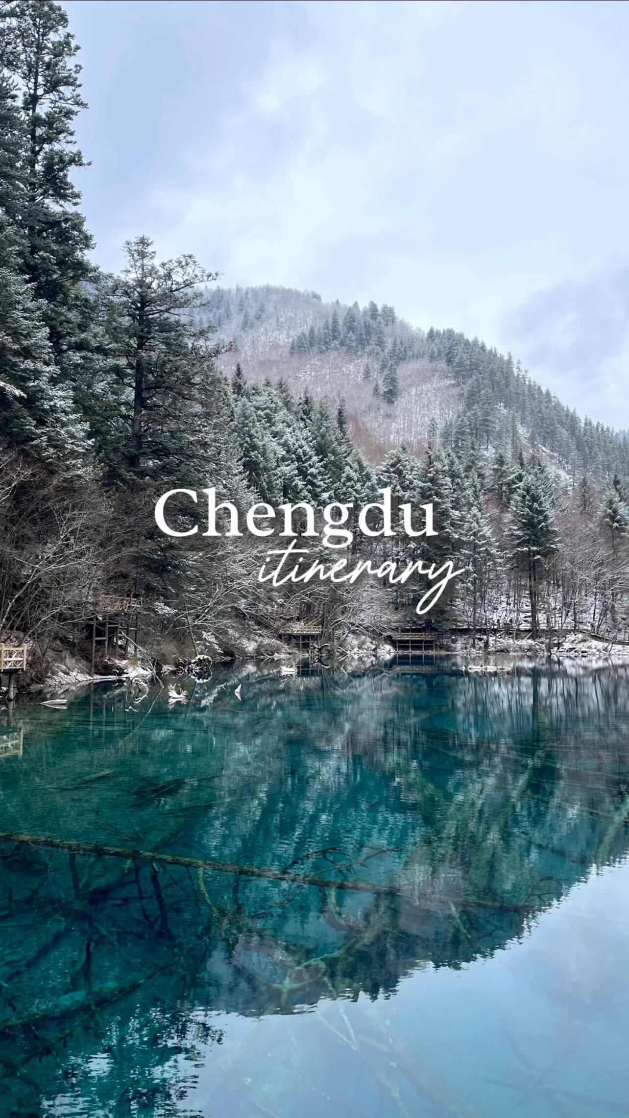 The Leongs | Home & Lifestyle, Chengdu Research Base of Giant Panda Breeding