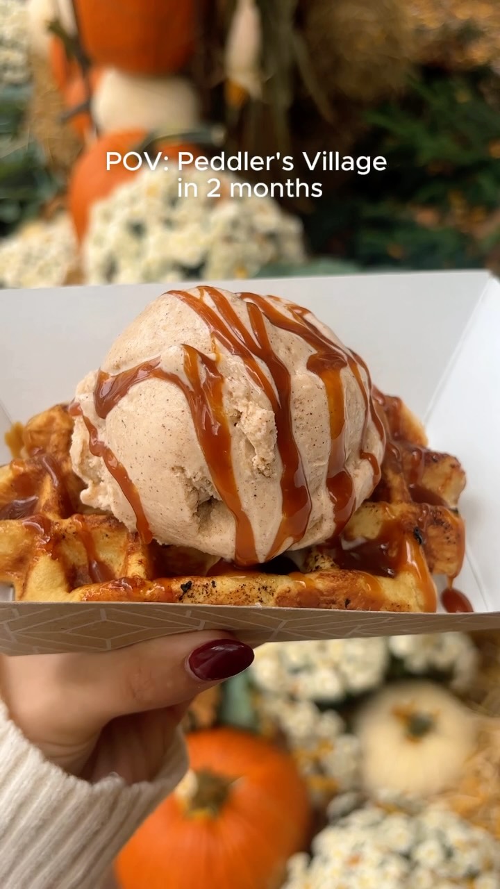 Nina's Waffles & Ice Cream, Nina's Waffles