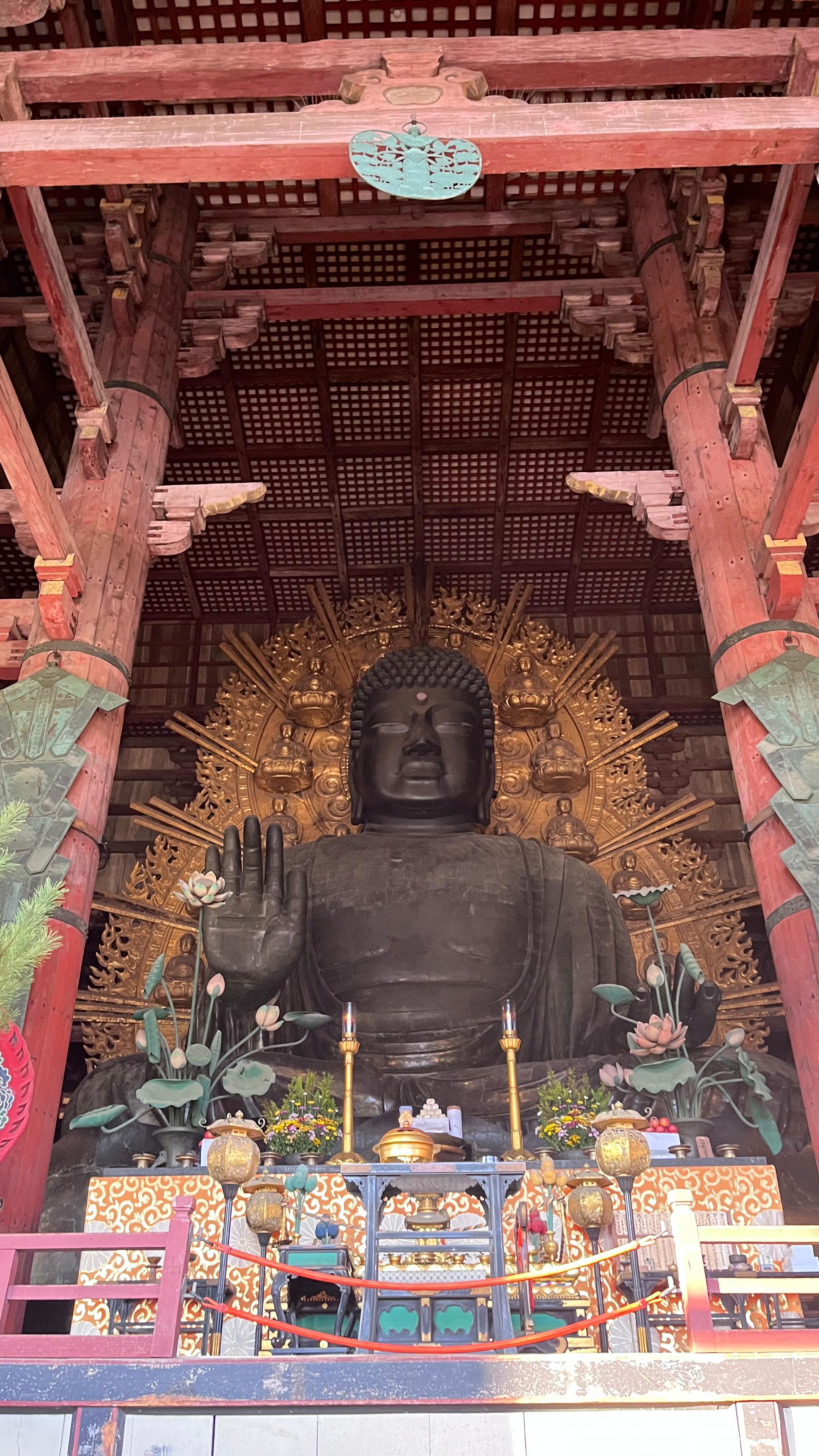 Emilie | Voyage sur mesure au Japon 🇯🇵, Nara Park