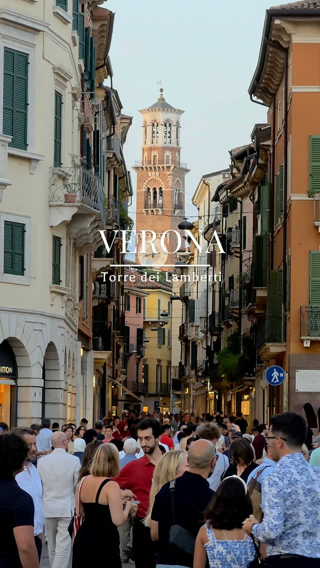 World Traveler, Verona Arena