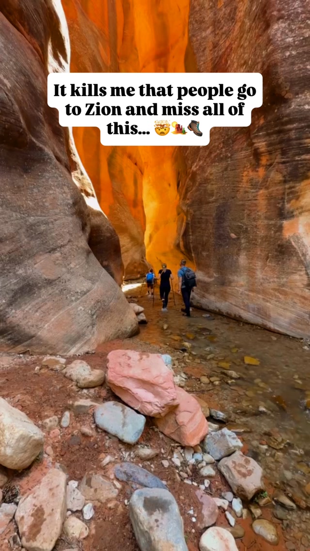 Heather & Jesse Gariepy | Family Bucket List Travel, Zion National Park