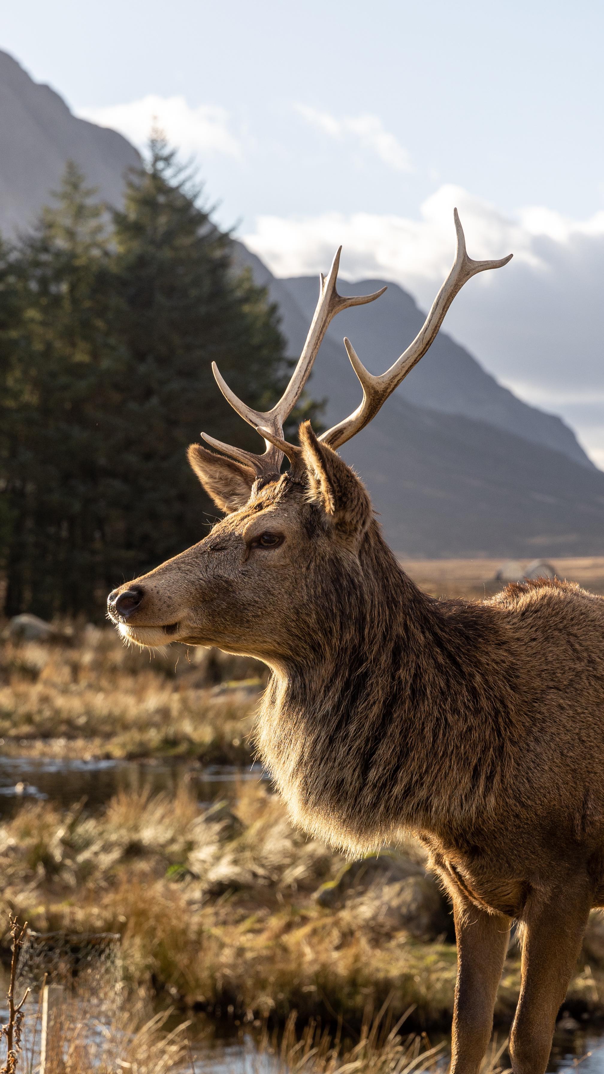 Adell | UK Travel & Adventures, Glencoe