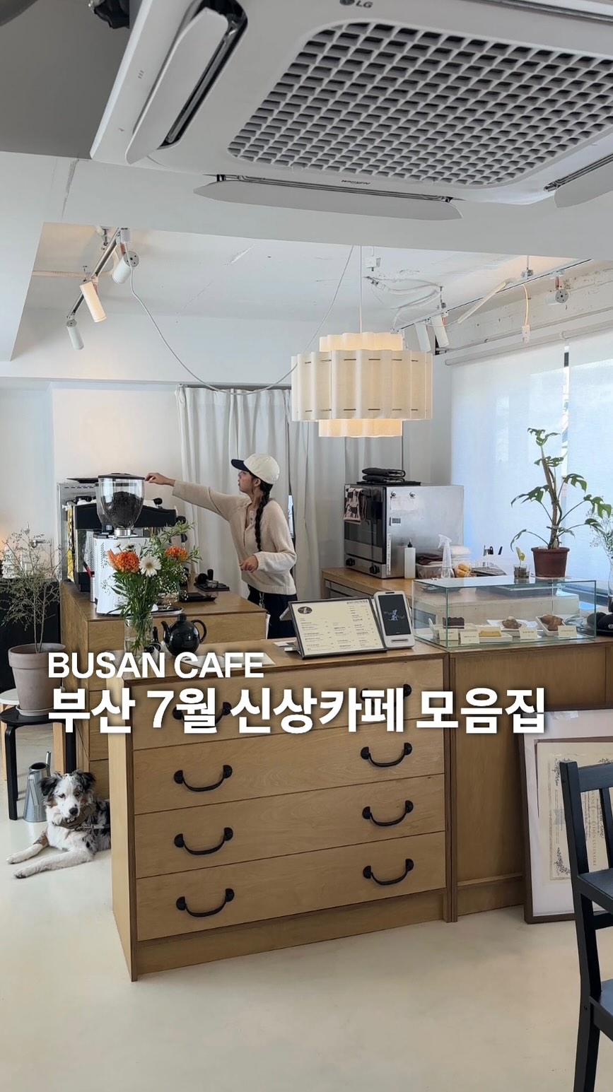 온드인부산 | 부산여행•카페•숙소•맛집, Wieoldo