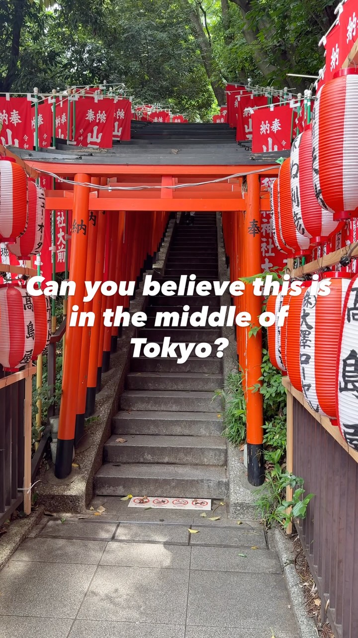 Laura | Hidden Japan, Fushimi Inari Taisha