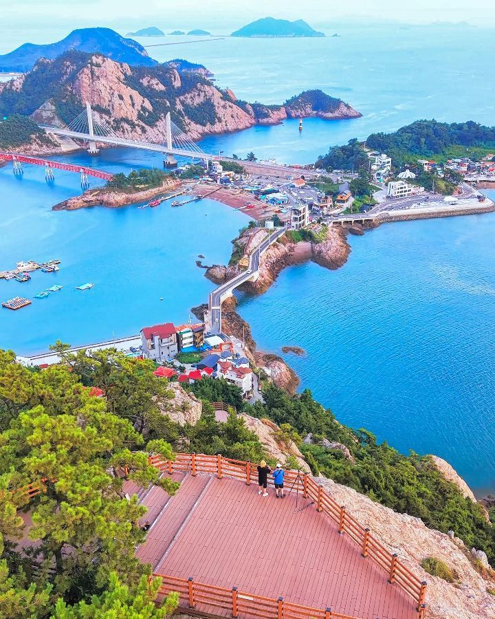 포레스트 필름, Daejangbong