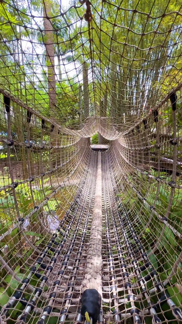 CodieNDrew, McKee Botanical Garden