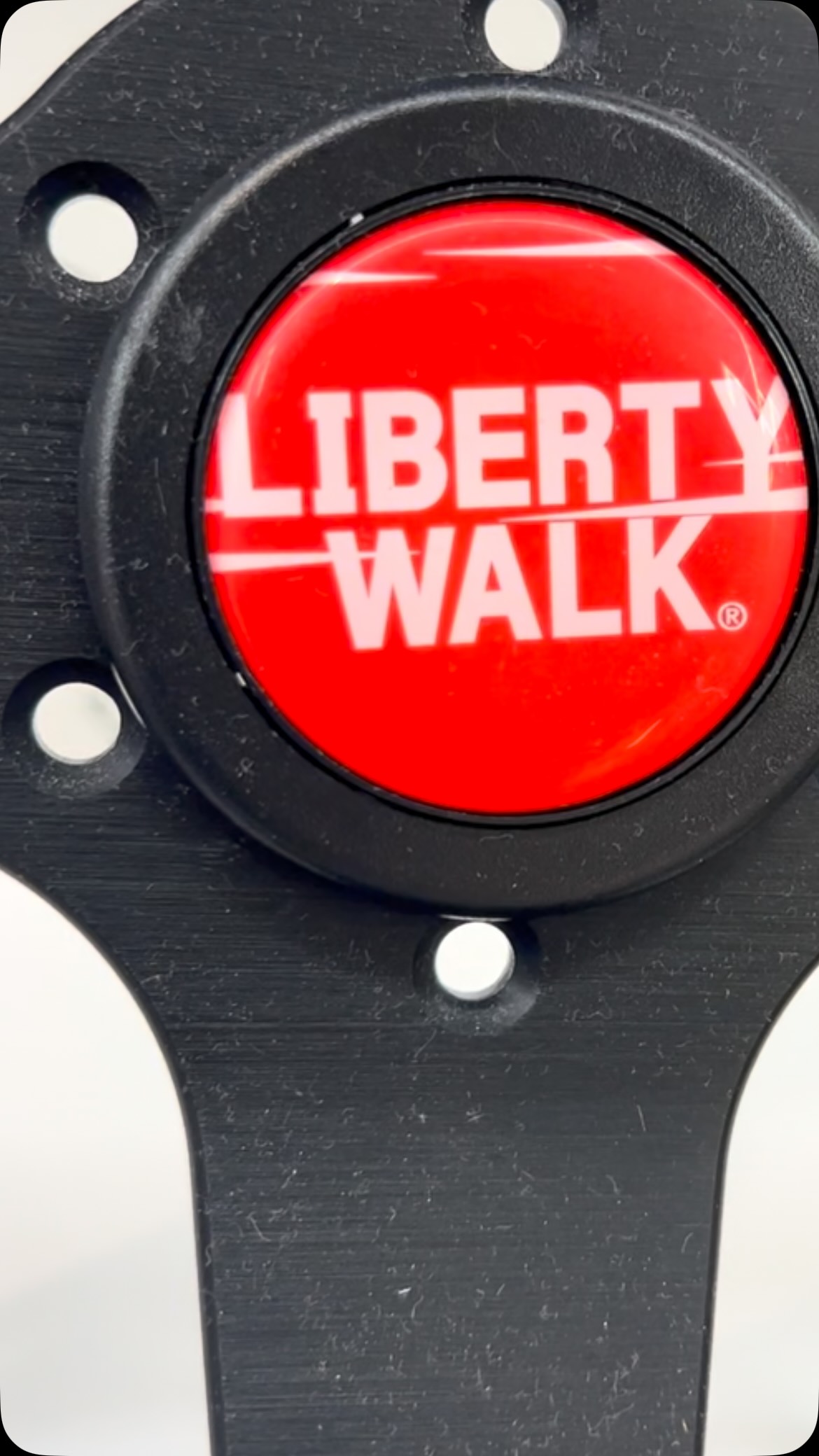 LIBERTYWALK KYOTO STORE, Kamo River