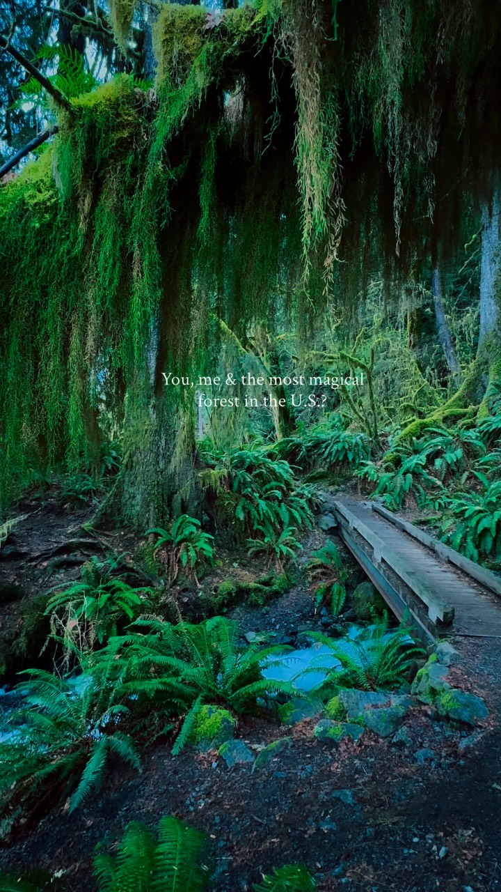 Karmen Cook | Hikes & Adventure Travel, Fairholme Campground