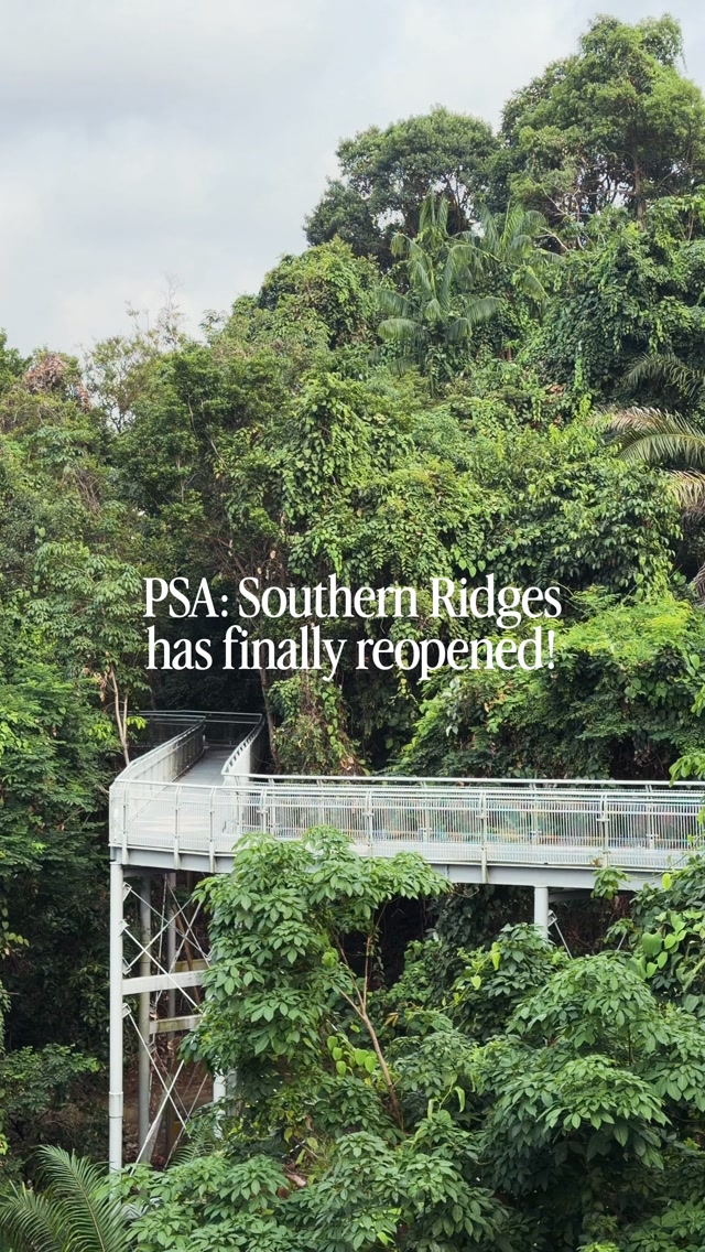 ☼ AMELIA ☼ wellness + lifestyle + singapore, Southern Ridges